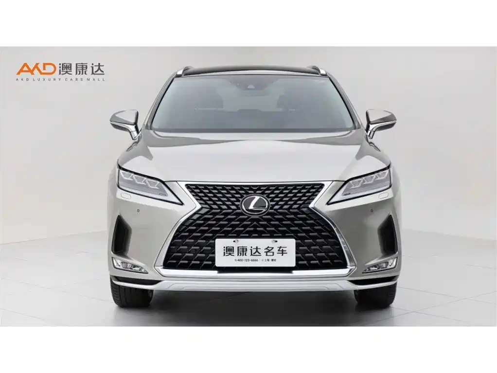 Lexus RX 2020 300 Elegant VI
