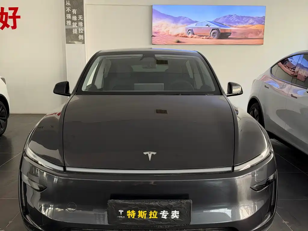 Tesla Model Y — миниатюра 2
