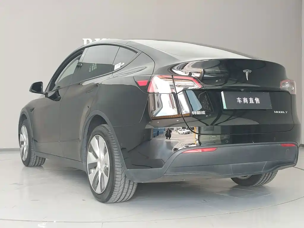 Tesla Model Y — миниатюра 9