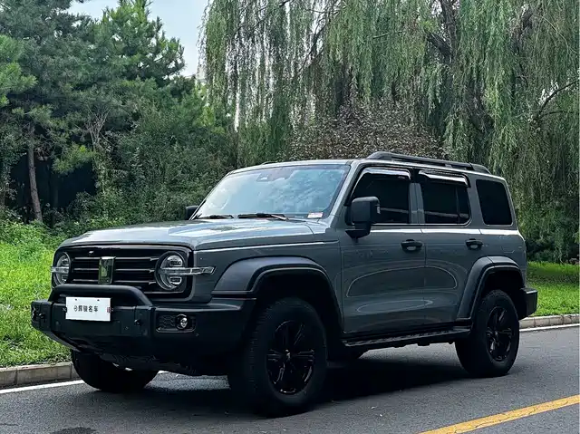 Tank 300