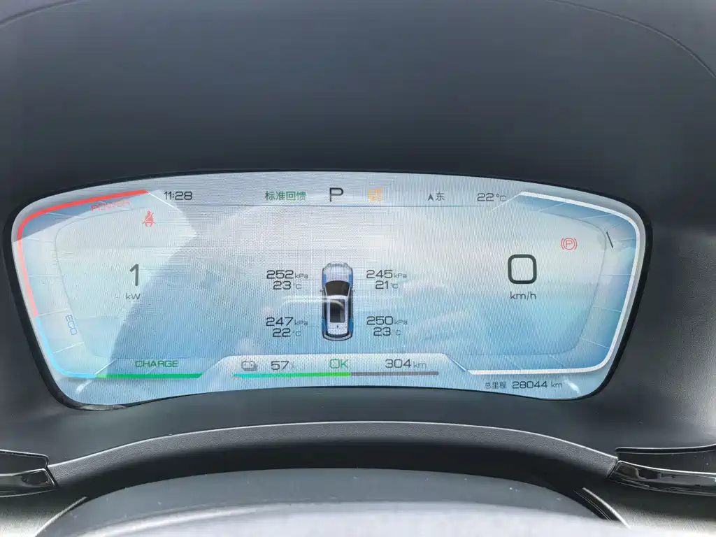 BYD SONGJIANG NEW ENERGY