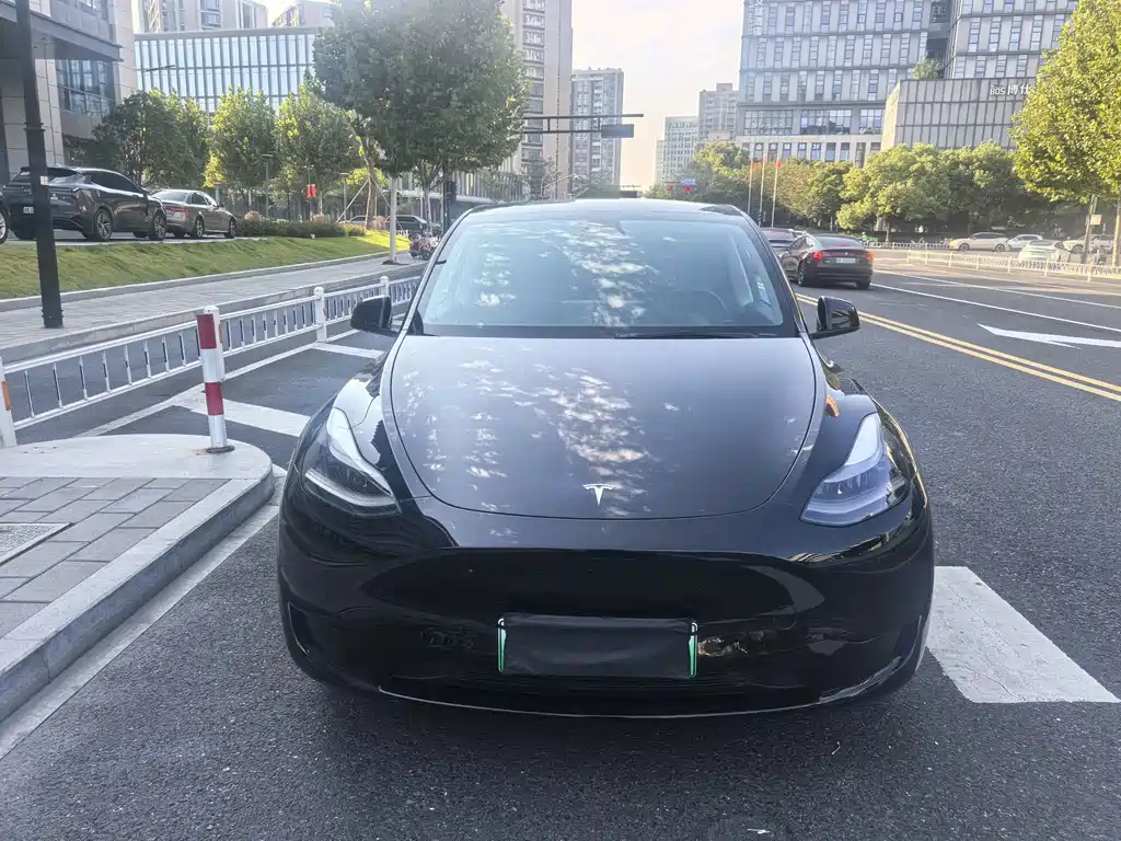 Tesla Model Y — миниатюра 2