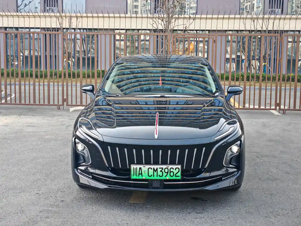 Hongqi HONGQI E QM5