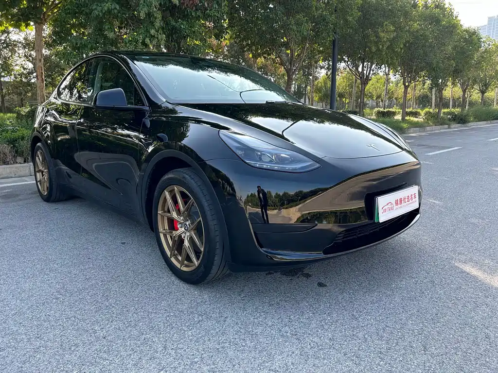 Tesla Model Y — миниатюра 3