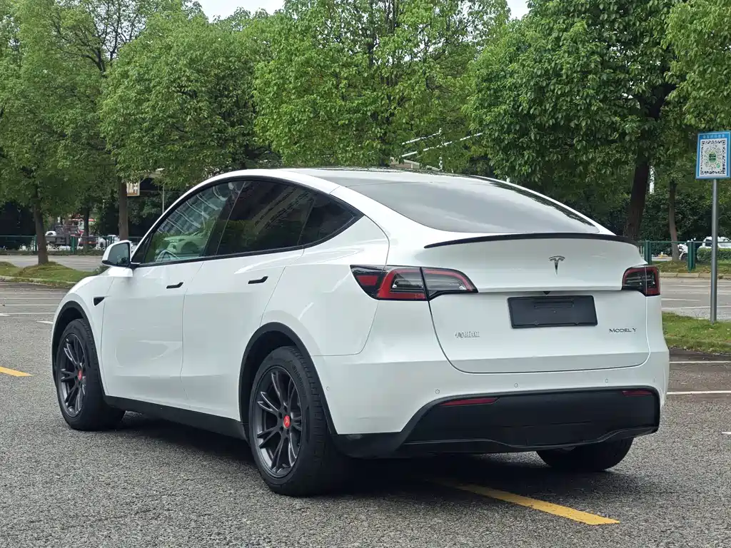 Tesla Model Y — миниатюра 6