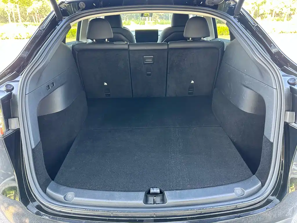 Tesla Model Y — миниатюра 10
