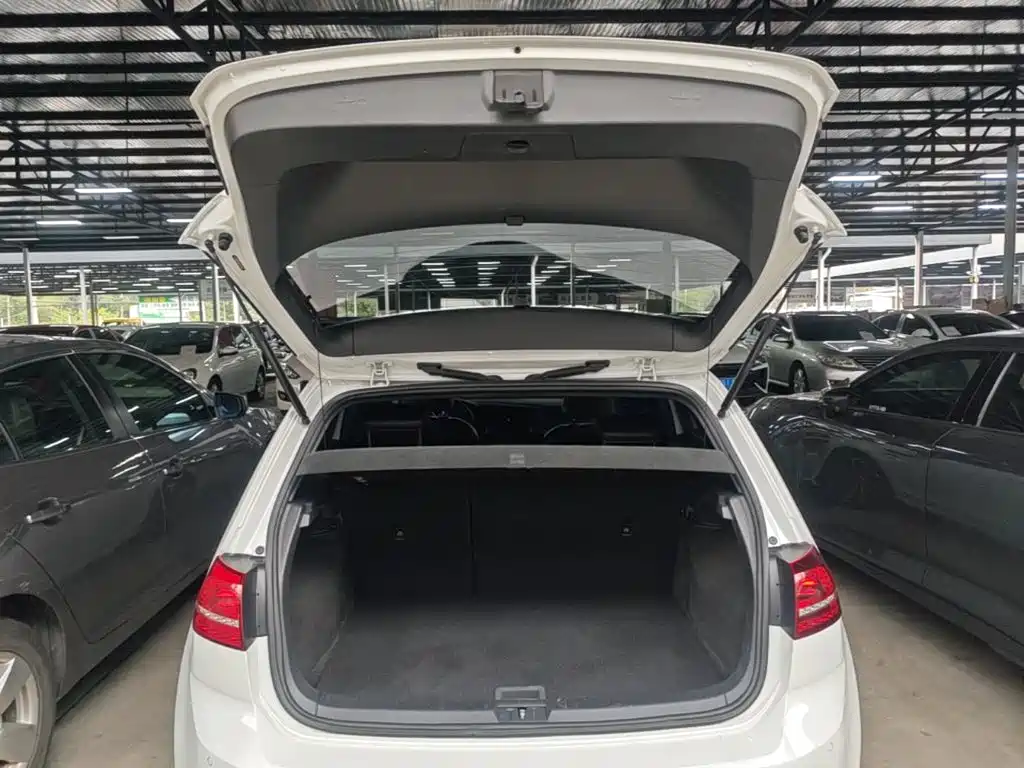 Volkswagen Golf — миниатюра 19