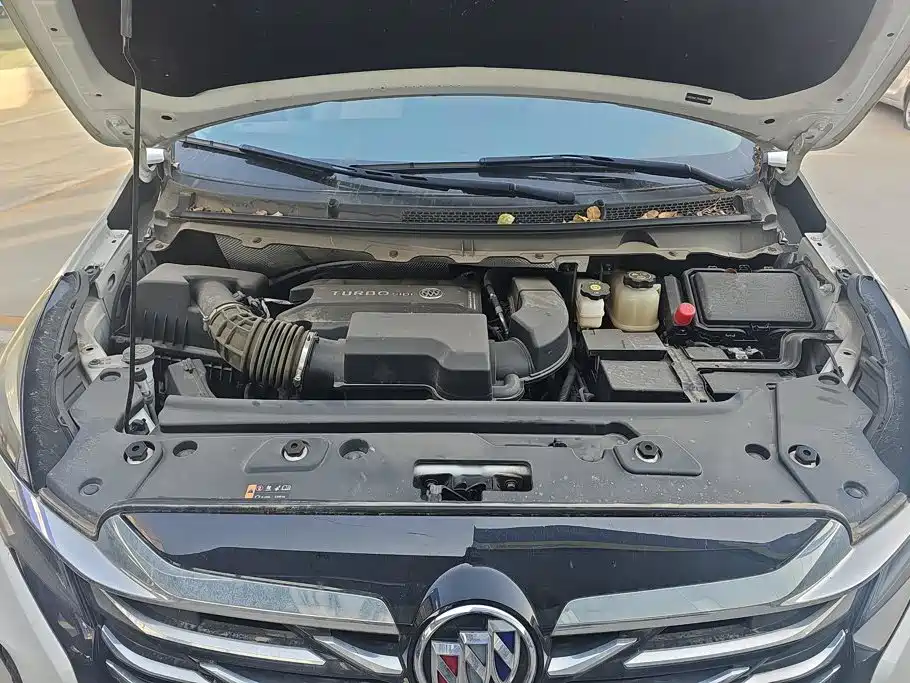 Buick GL8 — миниатюра 10