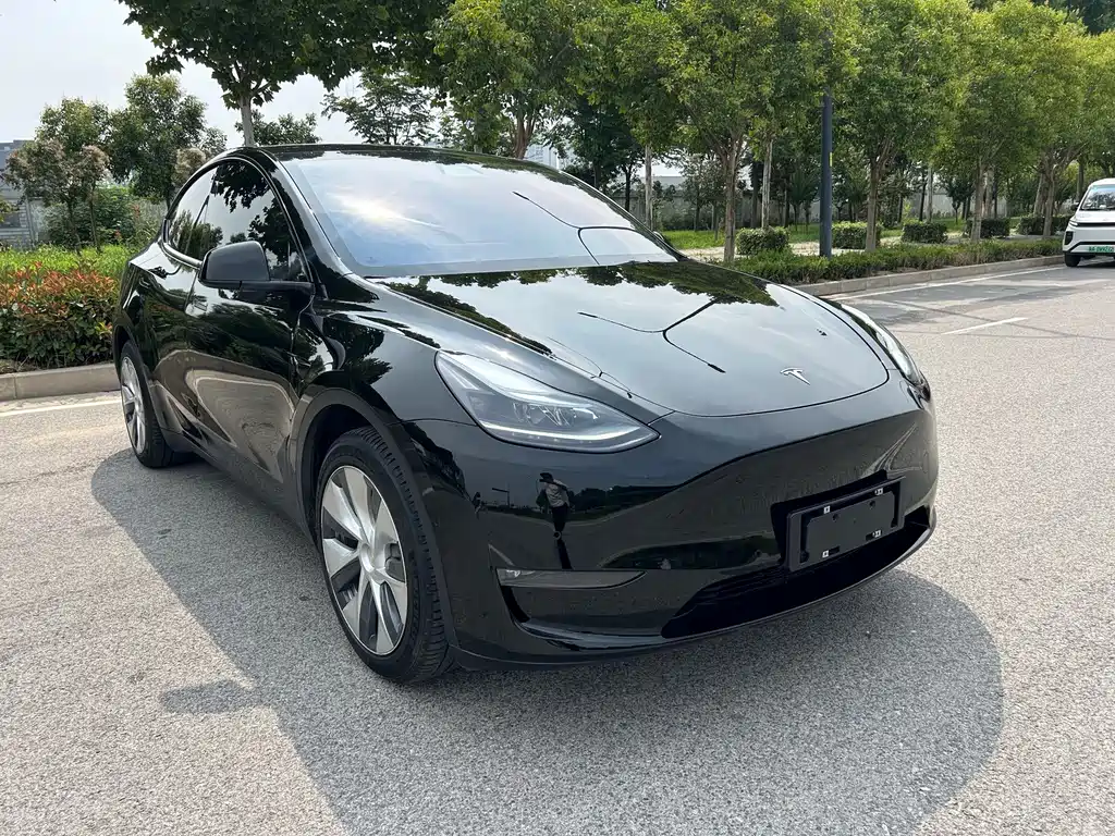 Tesla Model Y — миниатюра 3