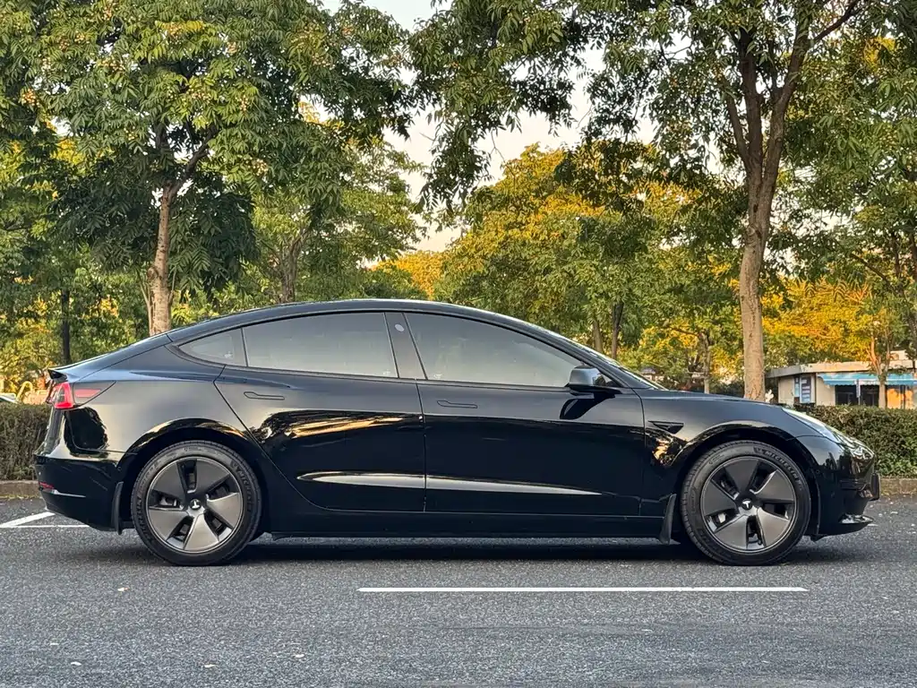 Tesla Model 3 — миниатюра 3