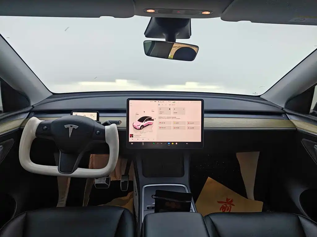 Tesla Model Y — миниатюра 6