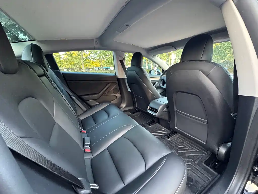 Tesla Model 3 — миниатюра 8