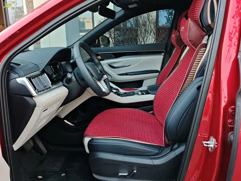 BYD PLUS New Energy — миниатюра 4