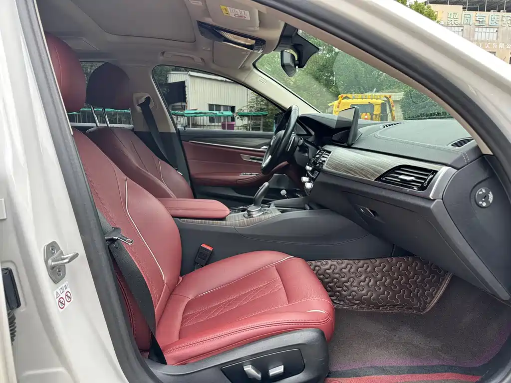 BMW 5 Series 5 2021 530Li Lead Luxury