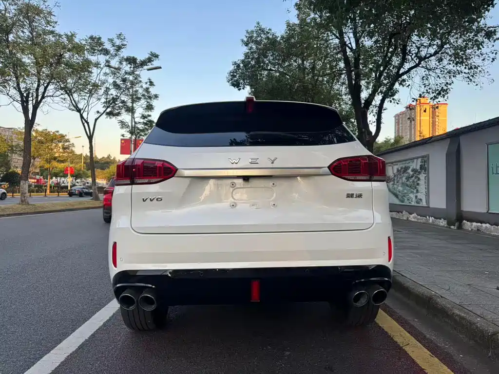 Wey Wey VV6 — миниатюра 6