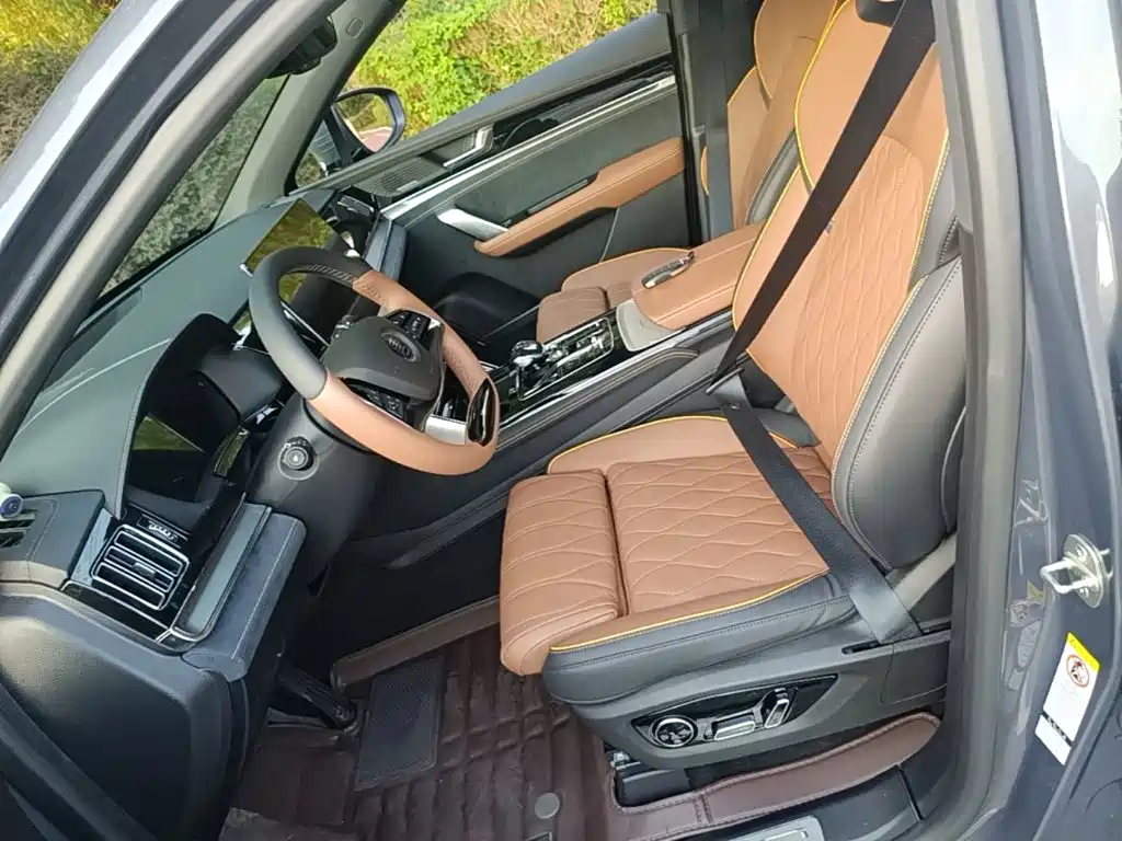 BYD Tang New Energy — миниатюра 15