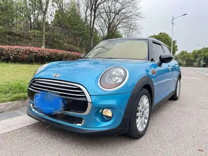 Mini Mini 2015