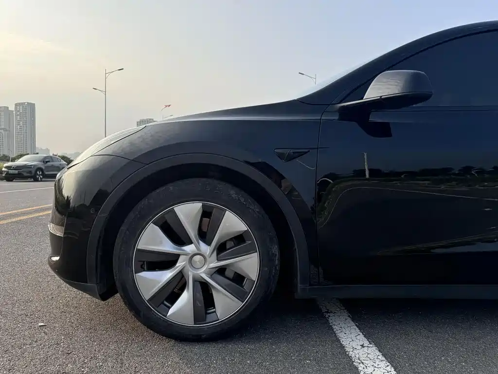 Tesla Model Y — миниатюра 5