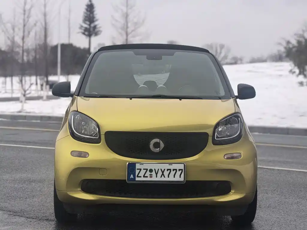 Smart fortwo 2018 1.0L 52 V