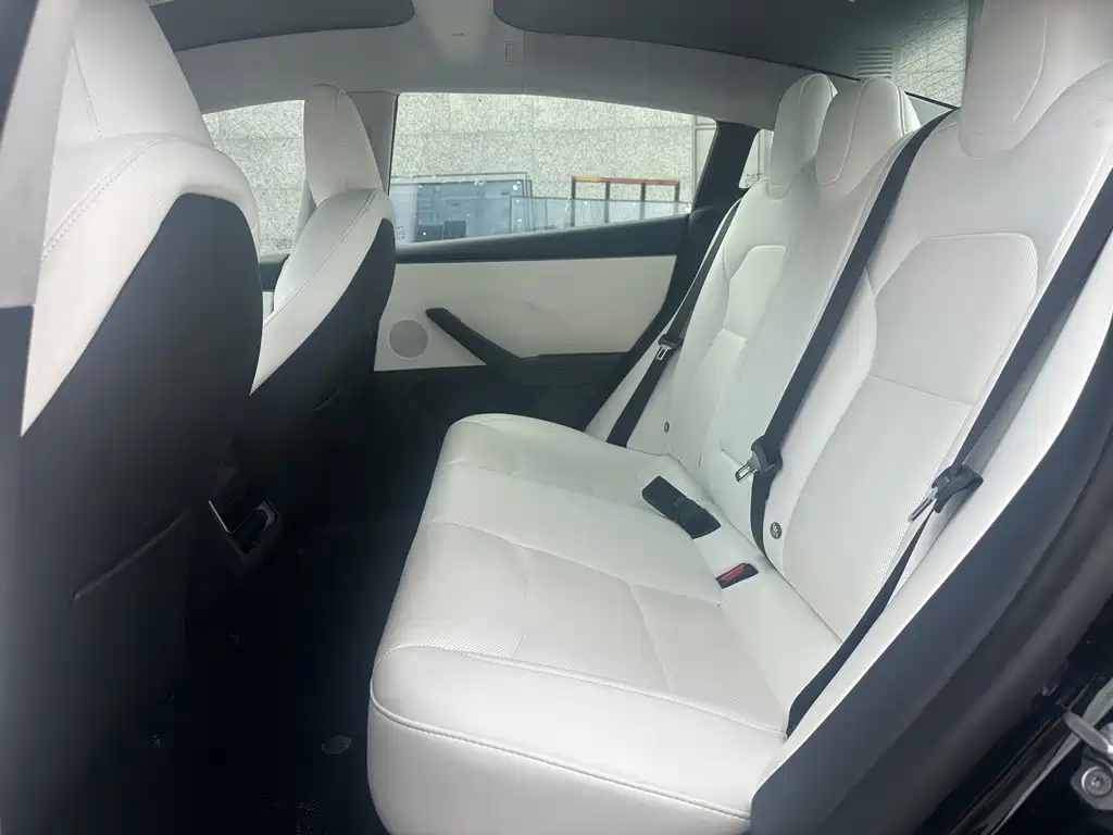 Tesla Model 3 — миниатюра 10