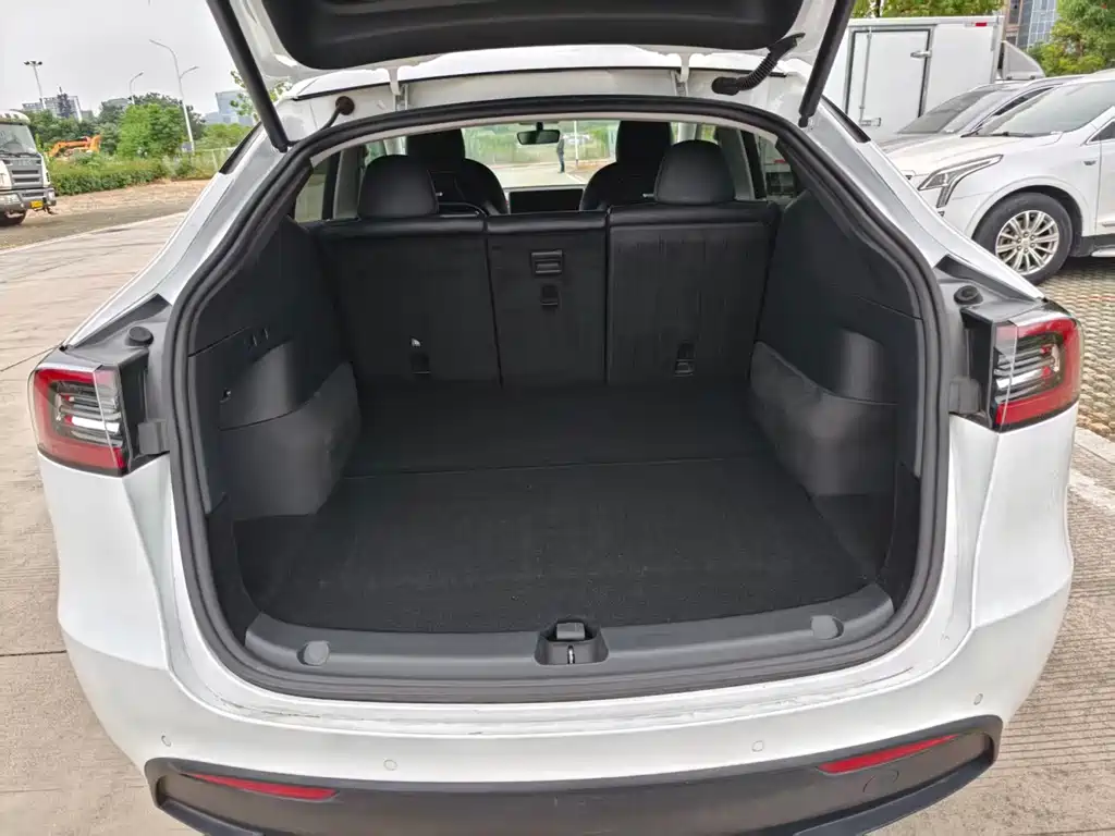 Tesla Model Y — миниатюра 15