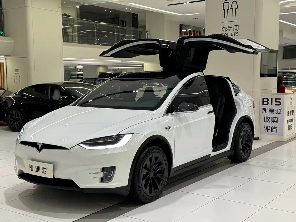 Tesla Model X — миниатюра 2