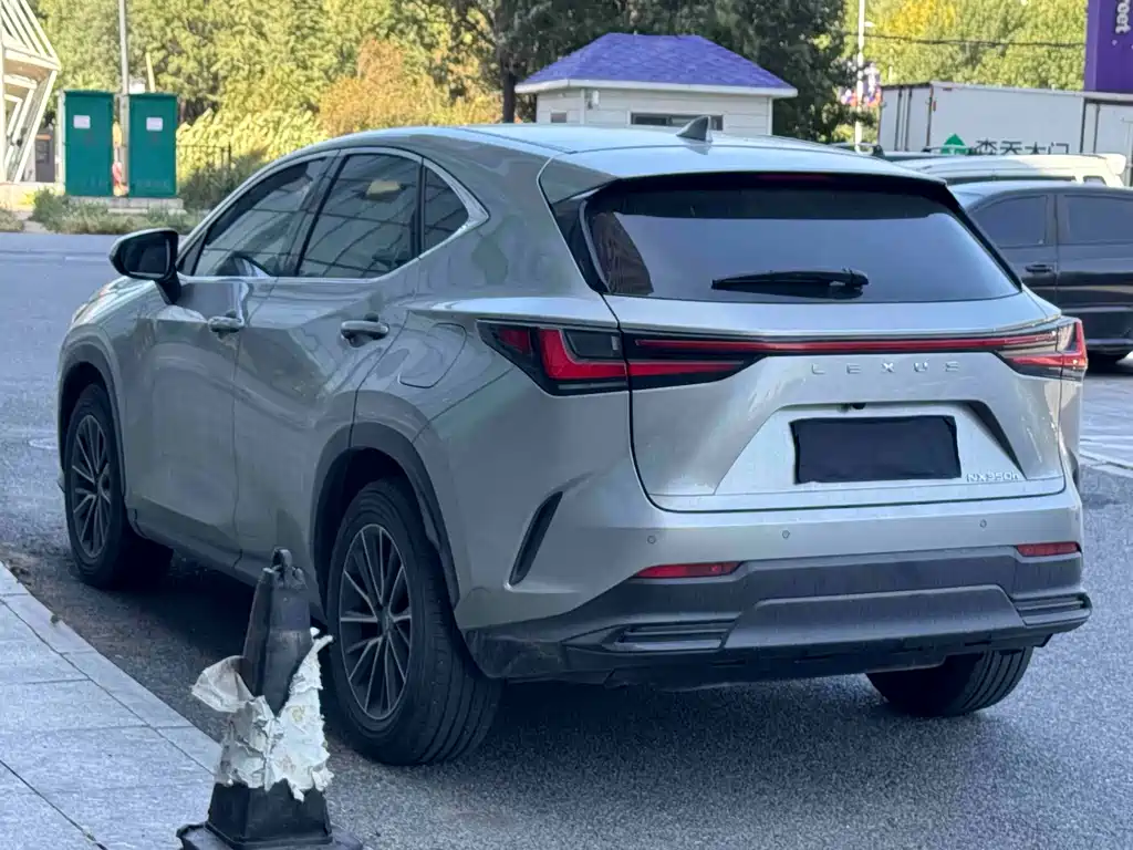 Lexus NX — миниатюра 6
