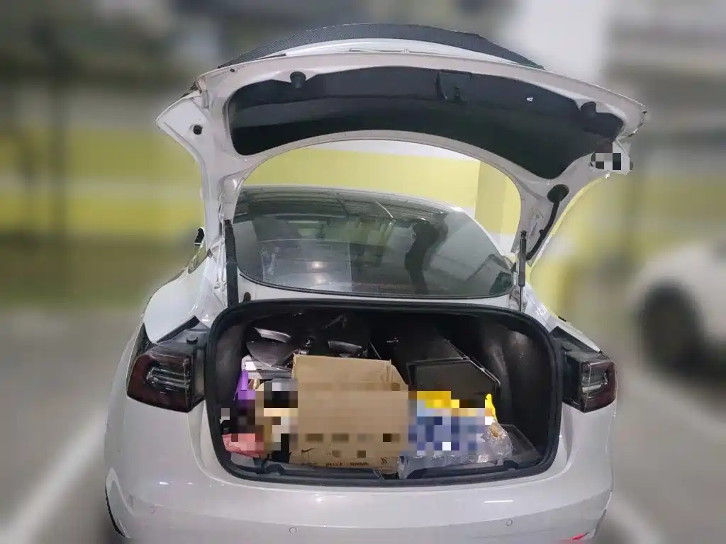 Tesla Model 3 — миниатюра 15