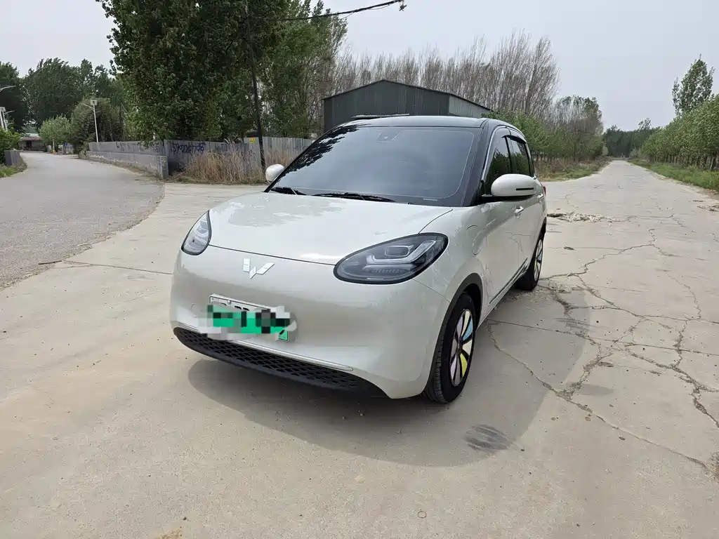 Wuling Bingo 2024