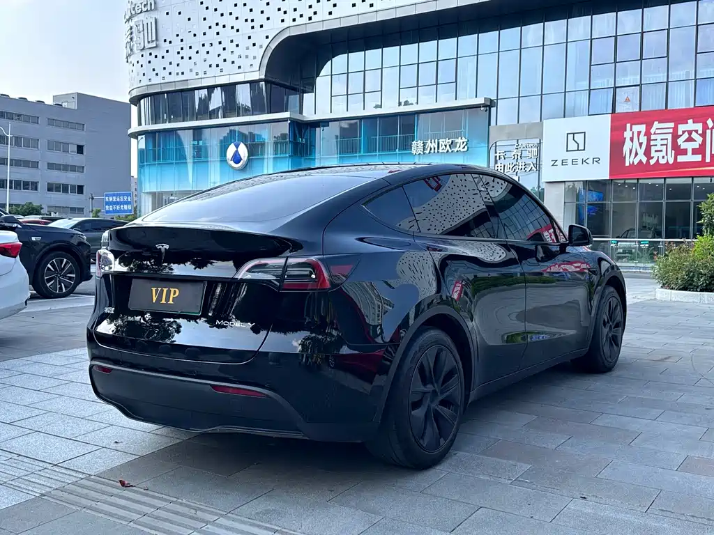 Tesla Model Y — миниатюра 6