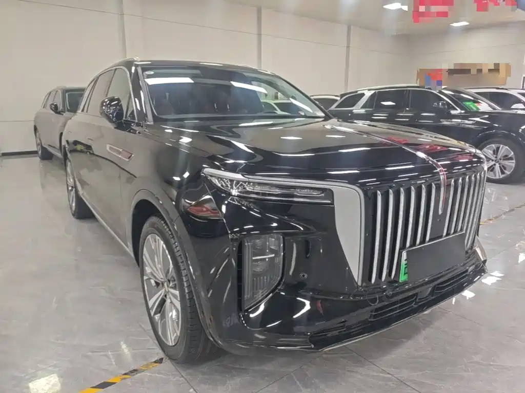 Hongqi Hongqi E-HS9 — миниатюра 4