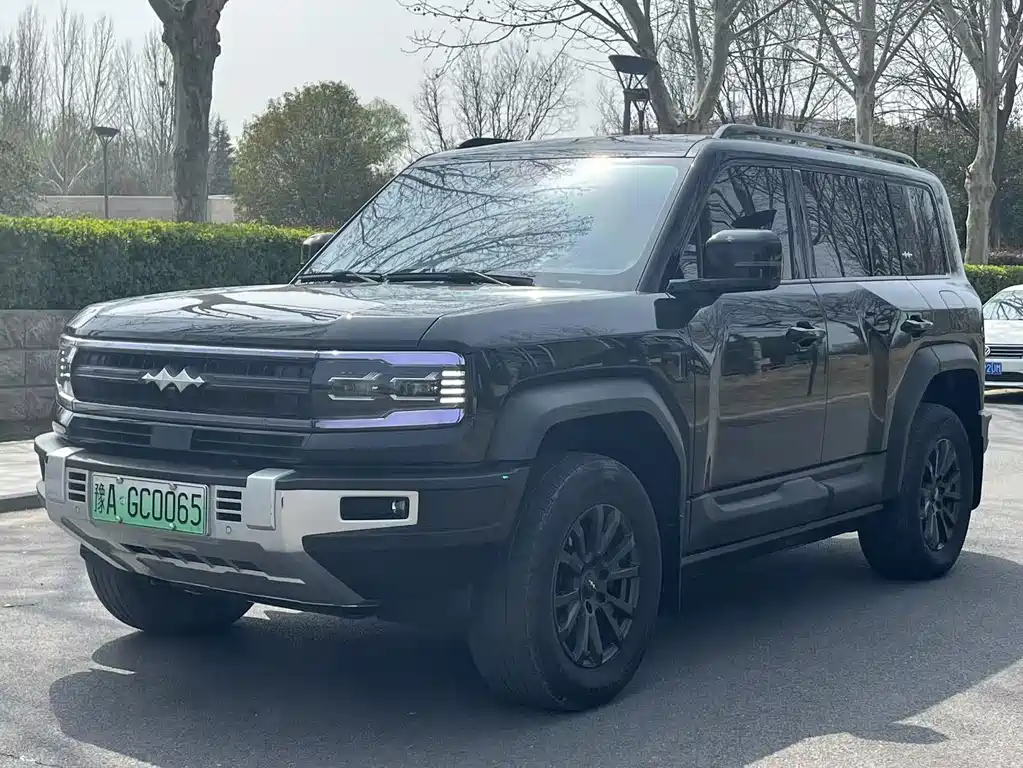 FANG CHENG BAO LEOPARD 5