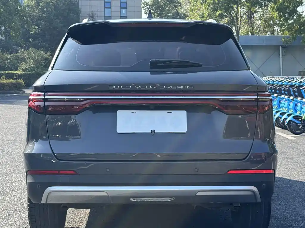 BYD Pro — миниатюра 6