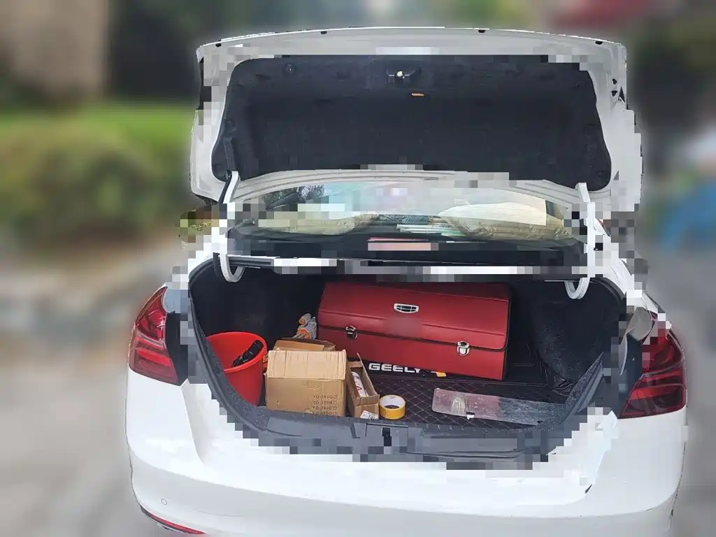 Geely Emgrand — миниатюра 15