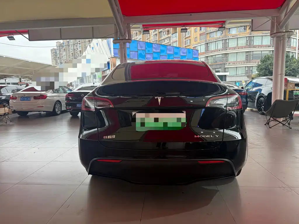 Tesla Model Y — миниатюра 9