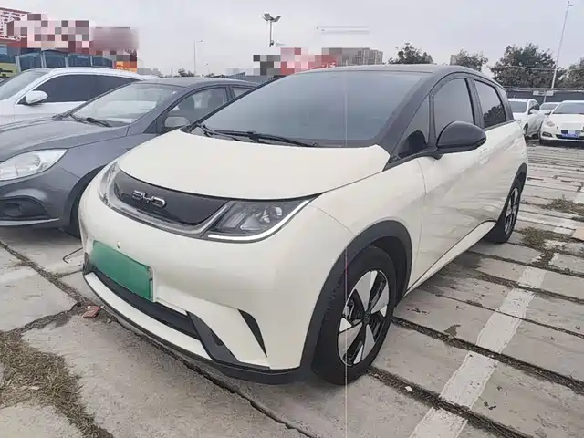 BYD Dolphin