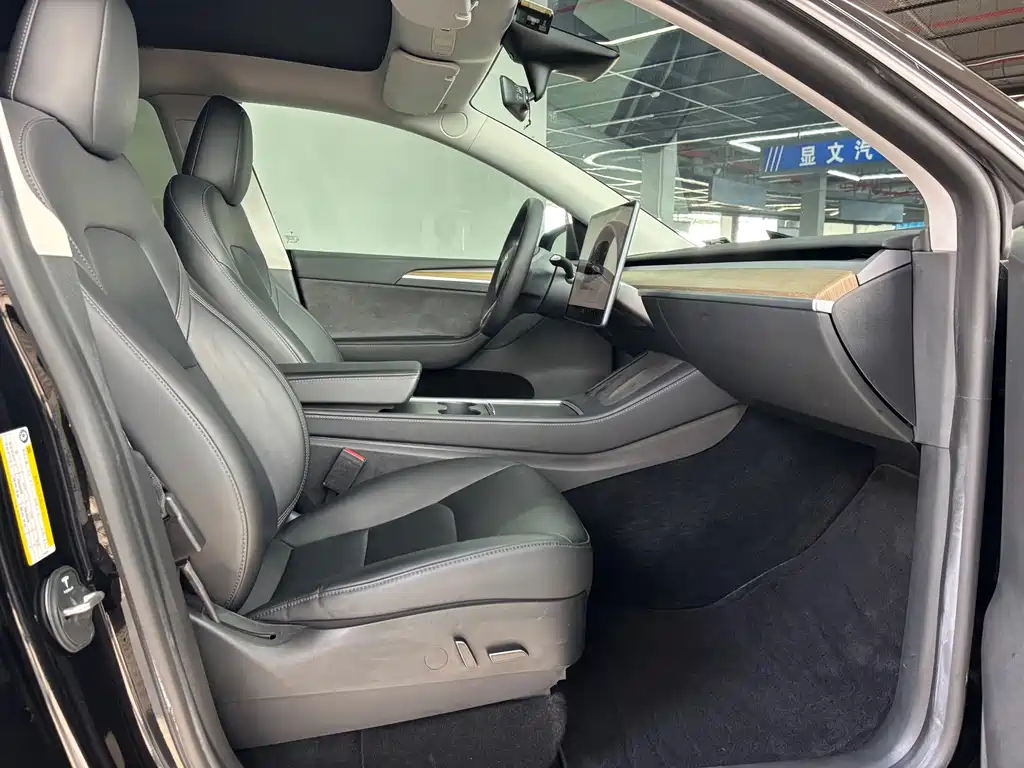 Tesla Model Y — миниатюра 4