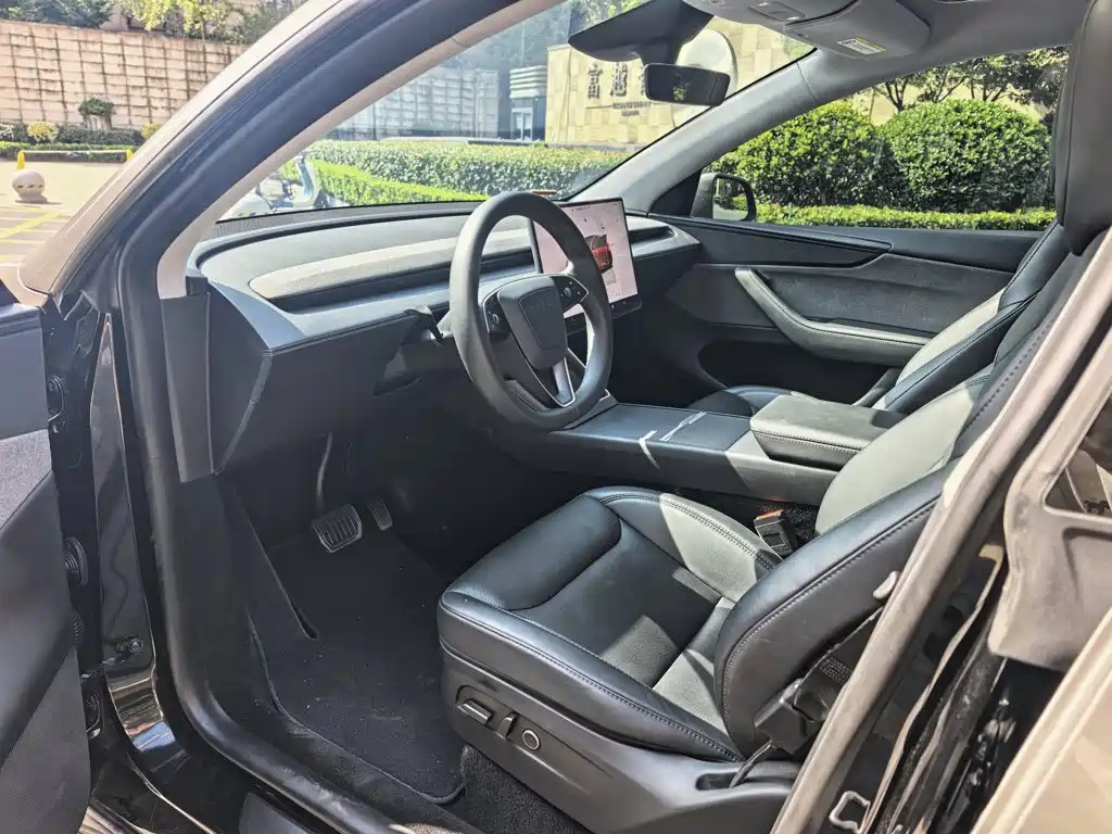 Tesla Model Y — миниатюра 9