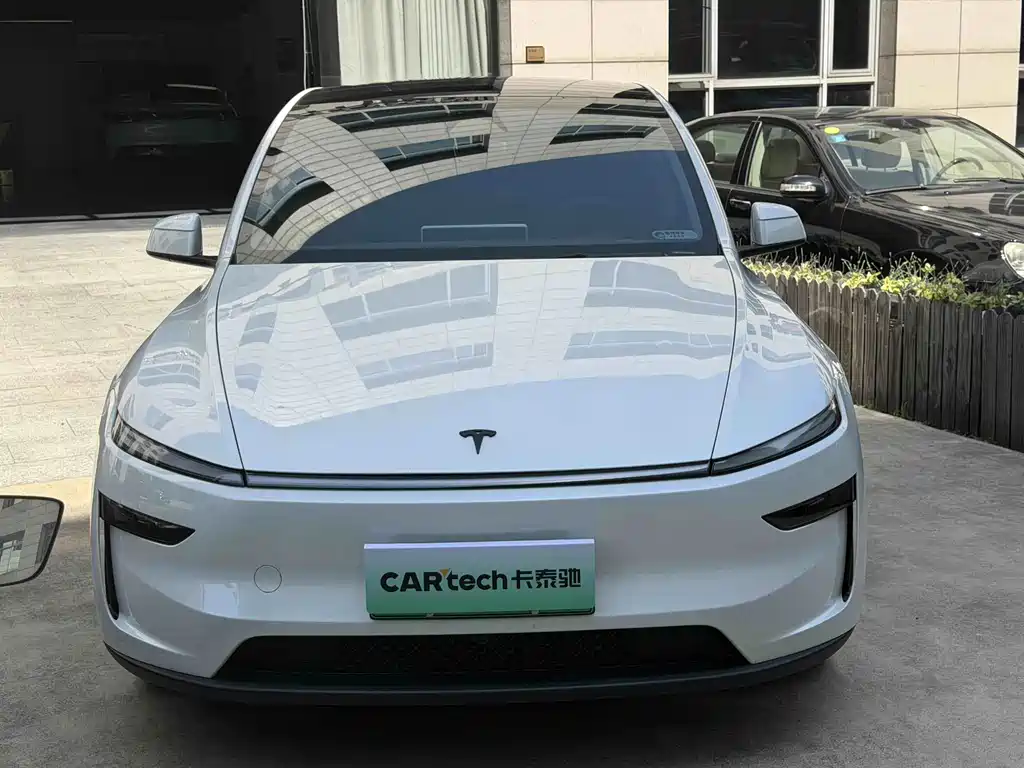 Tesla Model Y — миниатюра 2