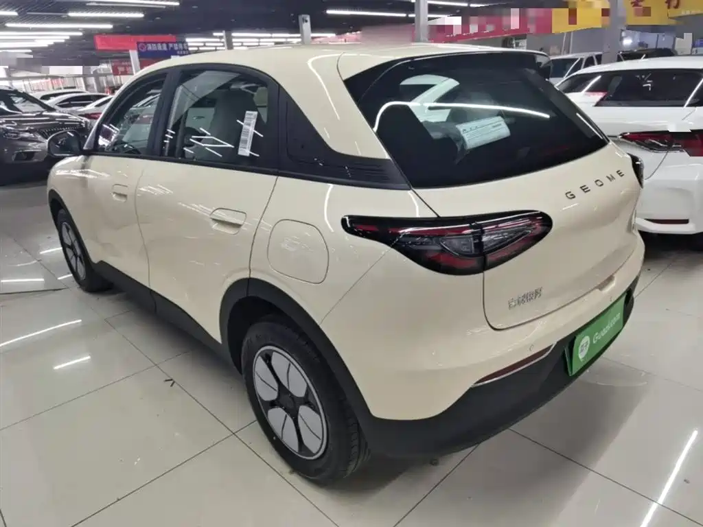 Geely Geome Xingyuan 2026 310km