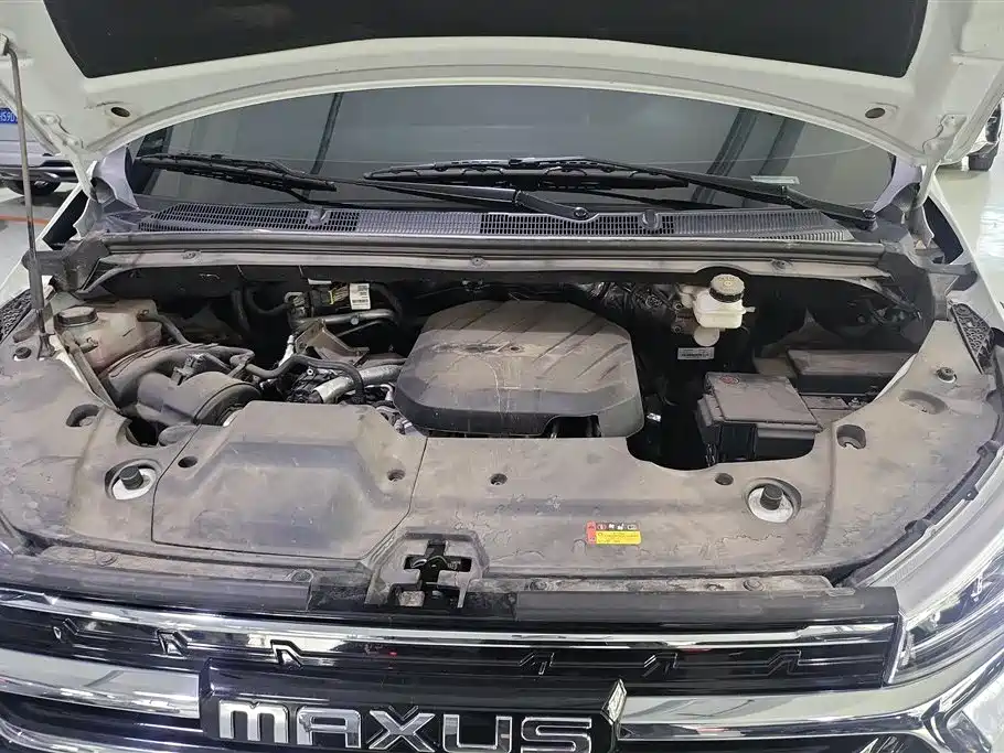 SAIC MAXUS CHASE G20