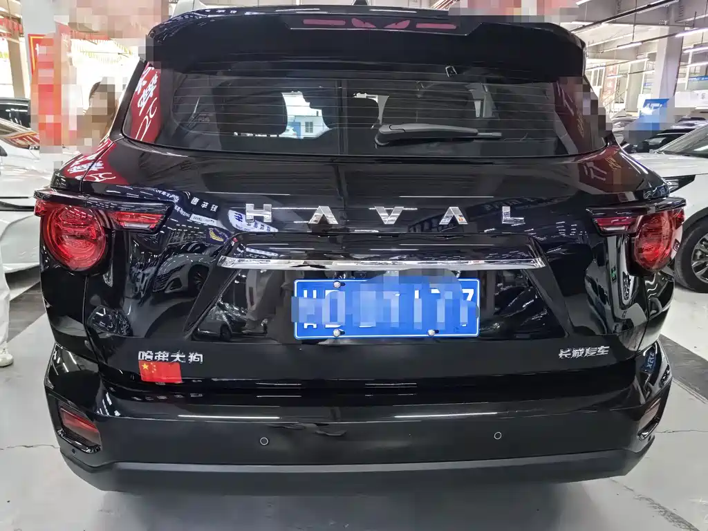 Haval Big Dog PLUS — миниатюра 5