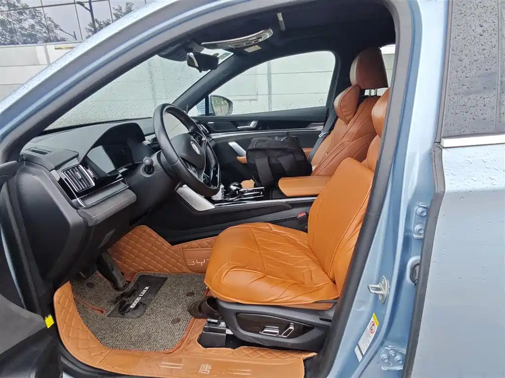 BYD Tang New Energy — миниатюра 6
