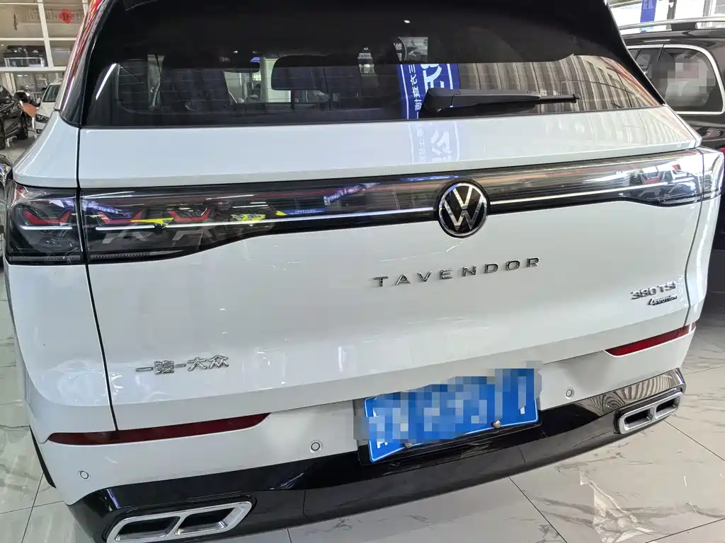 Volkswagen Tavendor — миниатюра 5