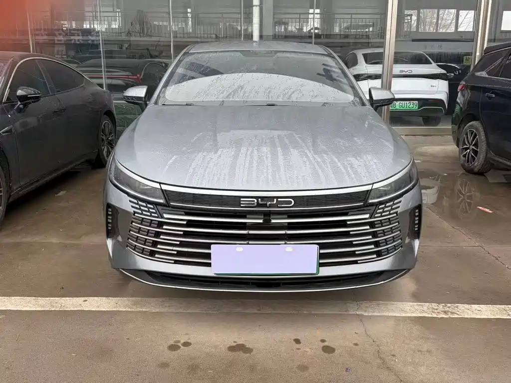 BYD DESTROYER 05