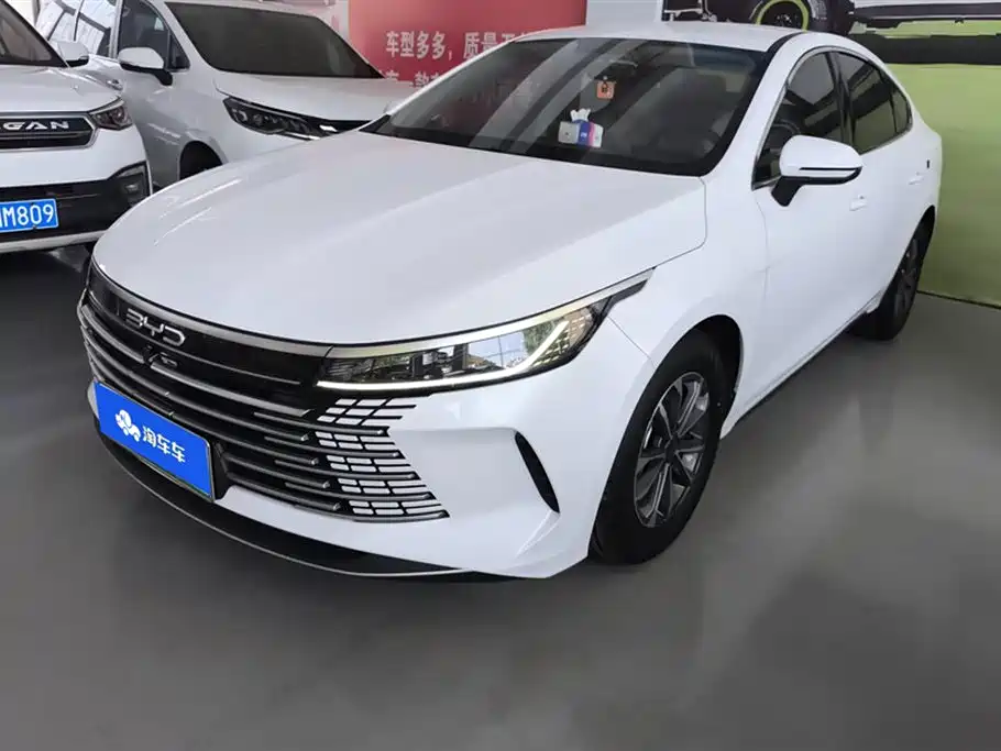 BYD Destroyer 05 2024