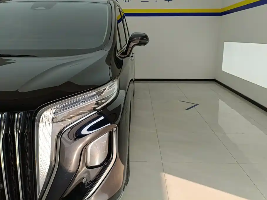 Hongqi Hongqi HQ9 — миниатюра 5