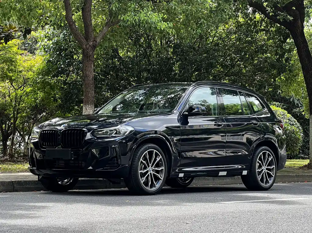 BMW X3 2023 xDrive30i Lead M