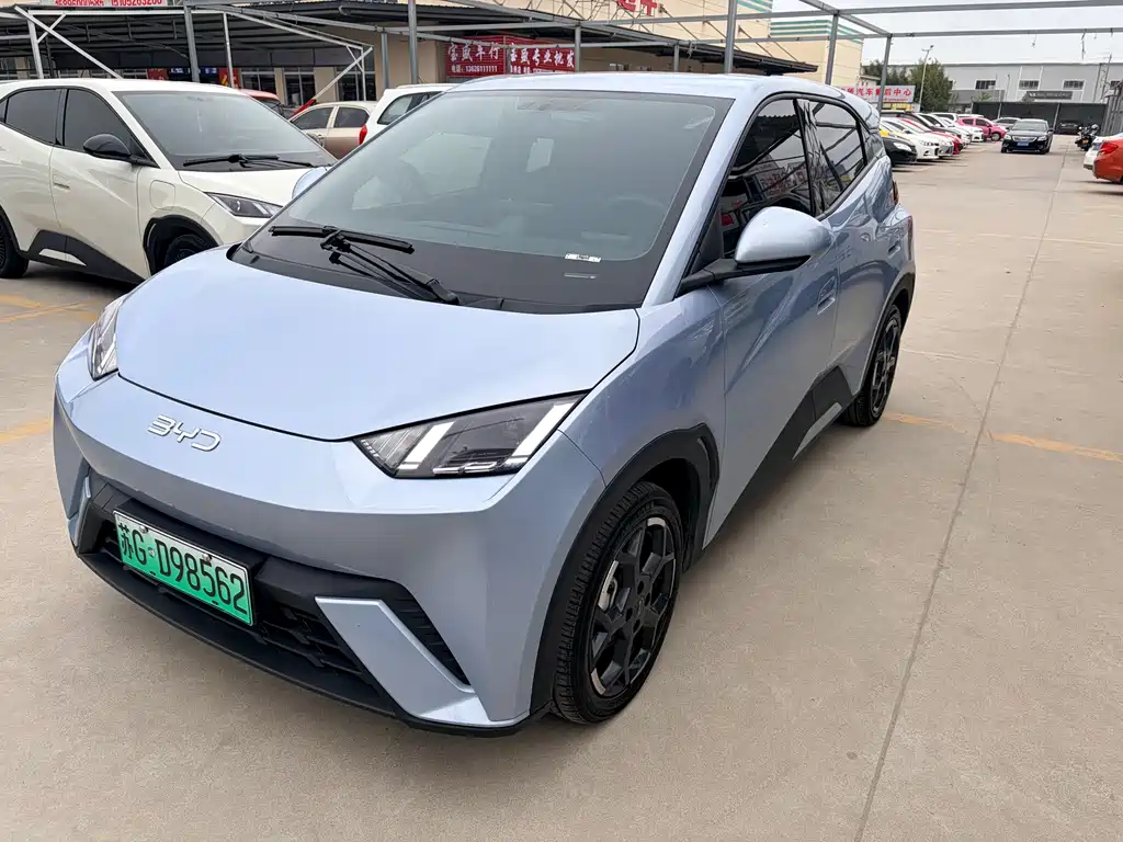 Byd Seagull 2024