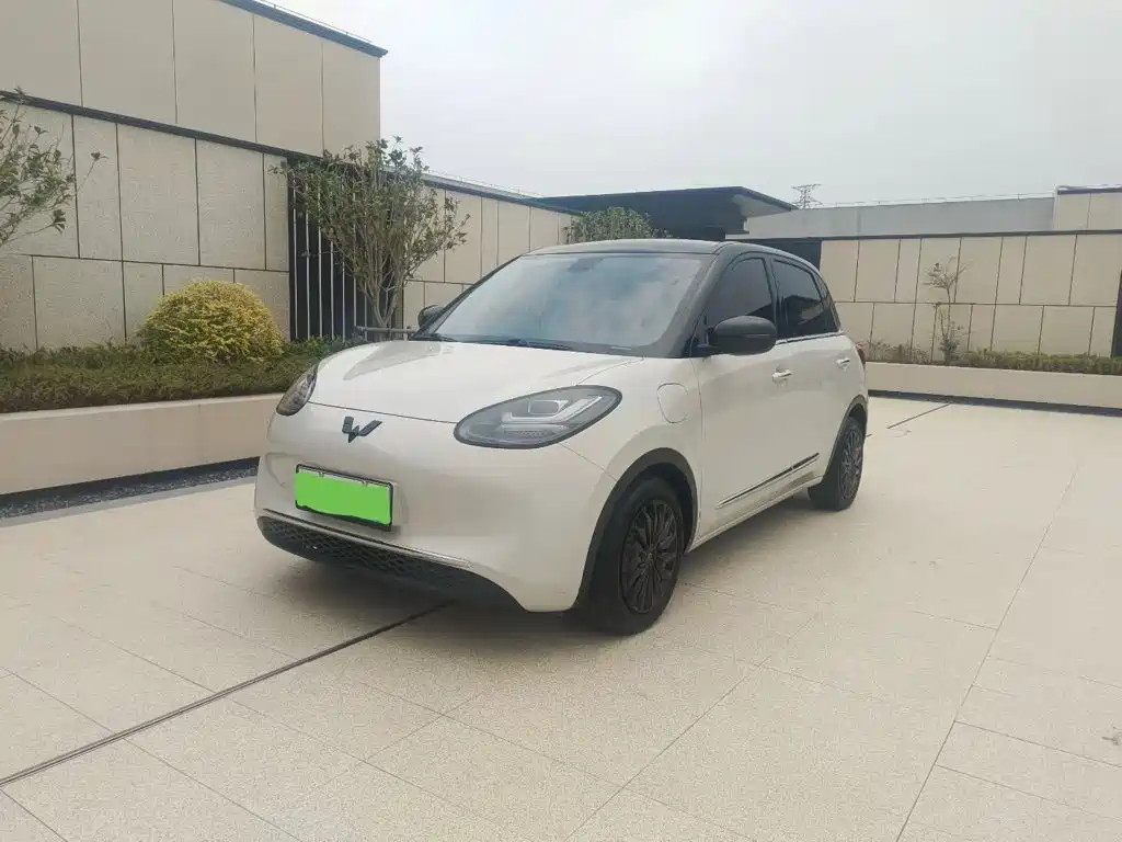 Wuling Bingo